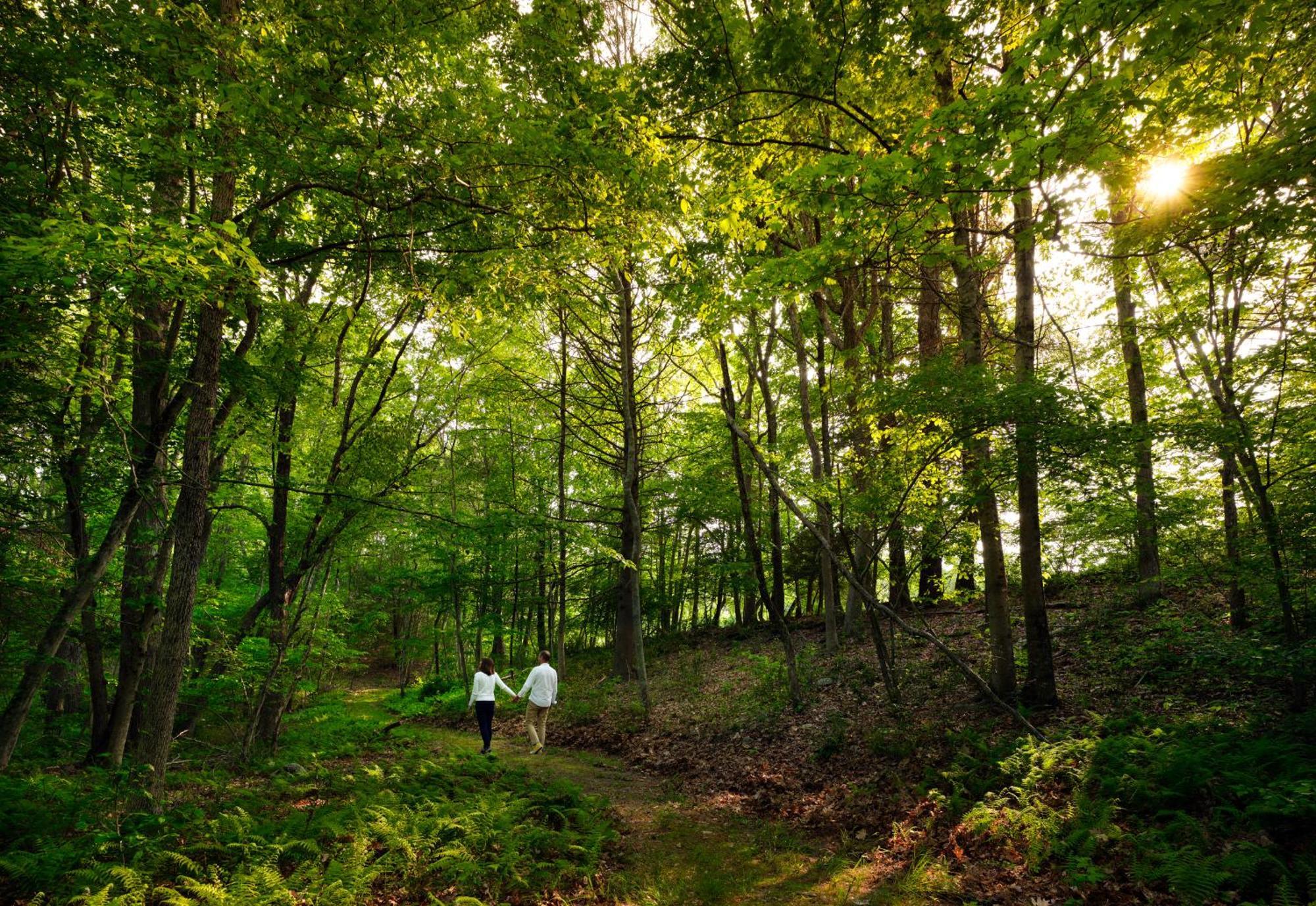 Abbey'S Lantern Hill Inn Ledyard Center Dış mekan fotoğraf
